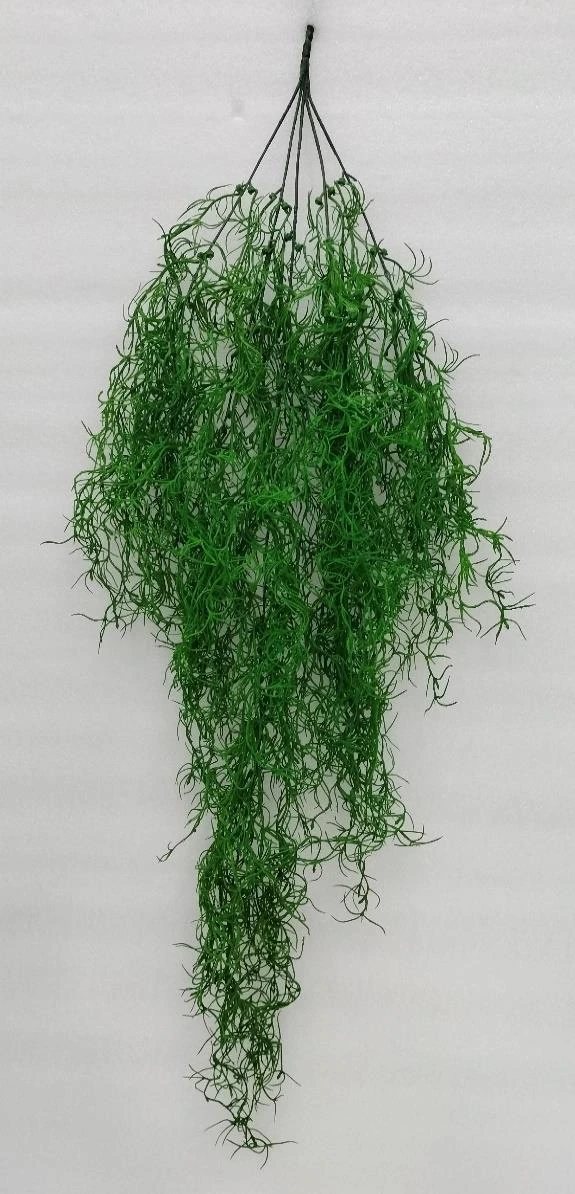 Soft Sperigrass String Leaves Creeper